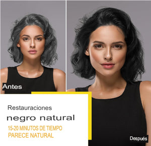 Black Hair Dye Shampoo 3 in 1 / ENVIO GRATIS